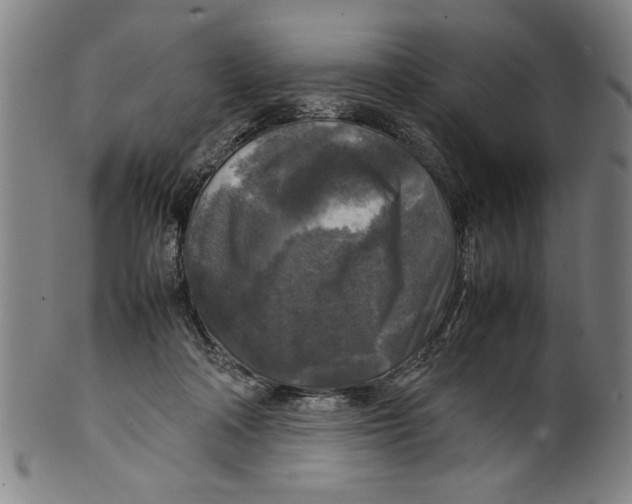 X0000099410314200806060938