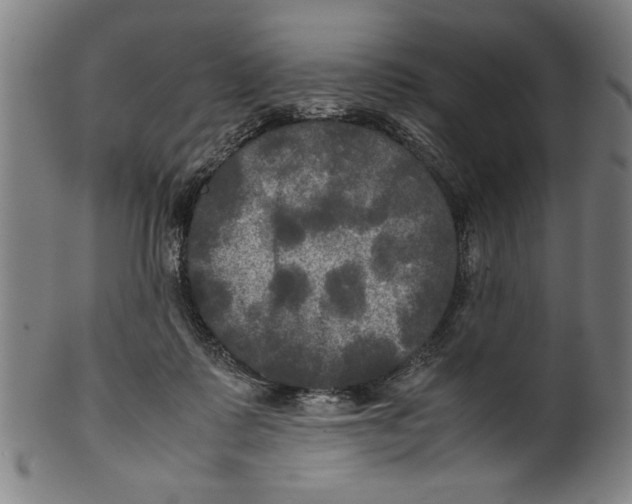 X0000099410315200806060938