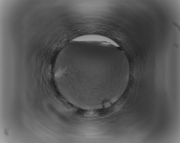 X0000099410319200806060938