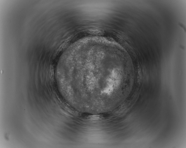 X0000099410320200806060938