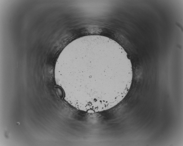 X0000099410321200806060938