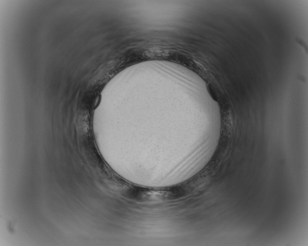 X0000099410323200806060938