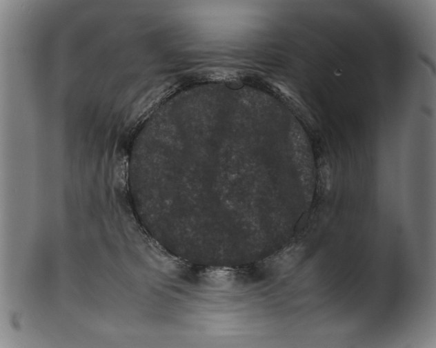 X0000099410325200806060938