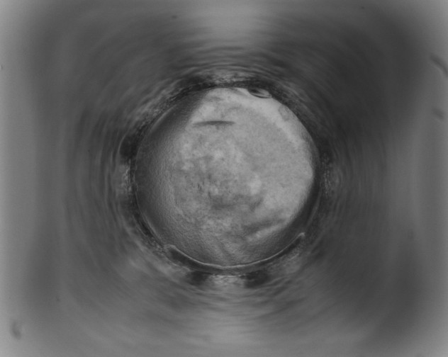 X0000099410327200806060937