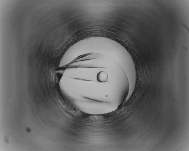 X0000099410328200806060937