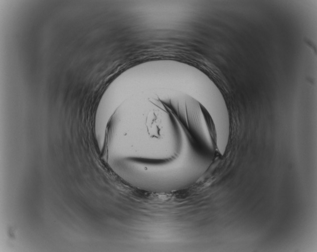 X0000099410329200806060937