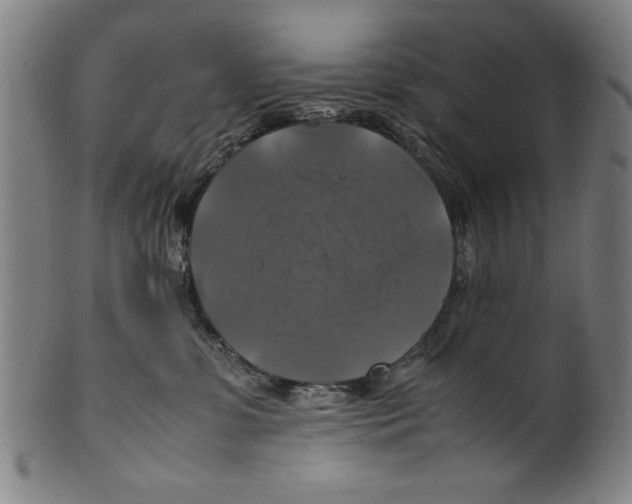 X0000099410331200806060937