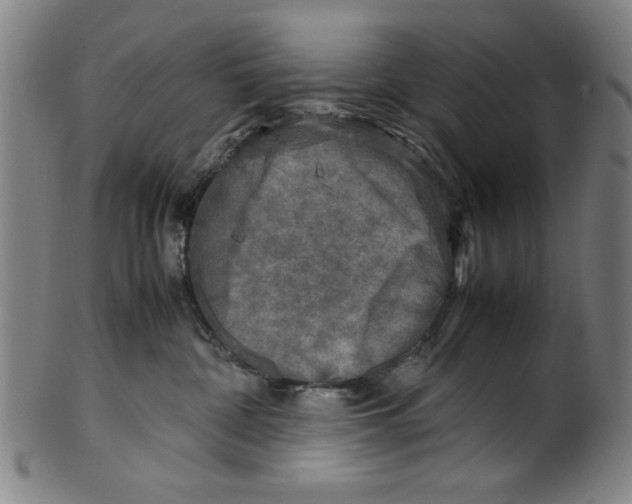 X0000099410332200806060937