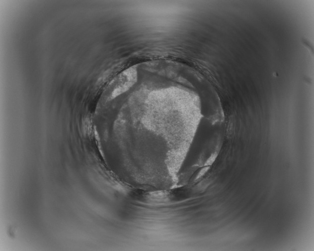 X0000099410335200806060937