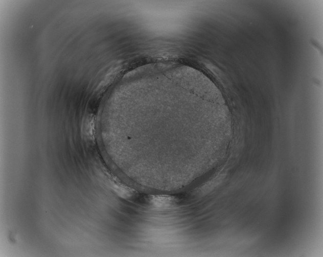 X0000099410336200806060937