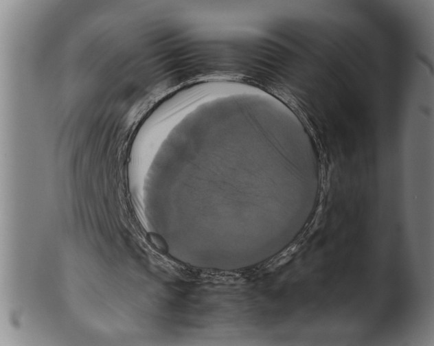 X0000099410337200806060937