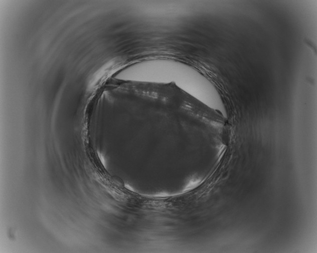 X0000099410339200806060937