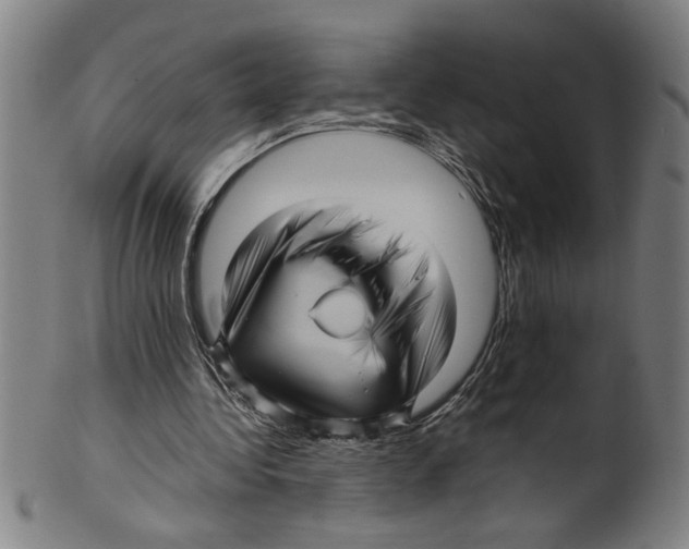 X0000099410340200806060937