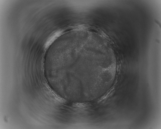 X0000099410341200806060937