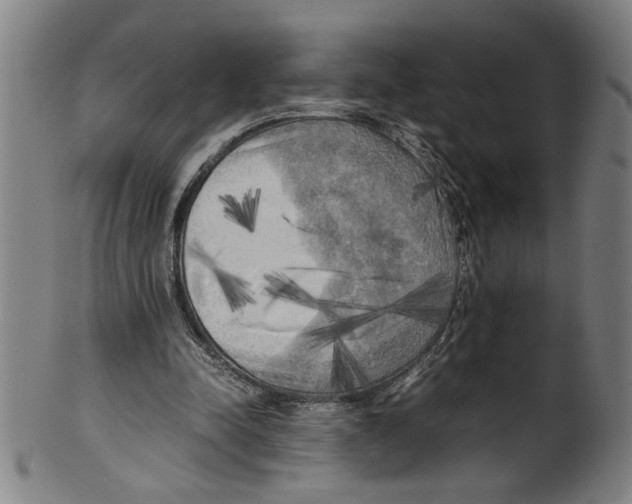 X0000099410342200806060937