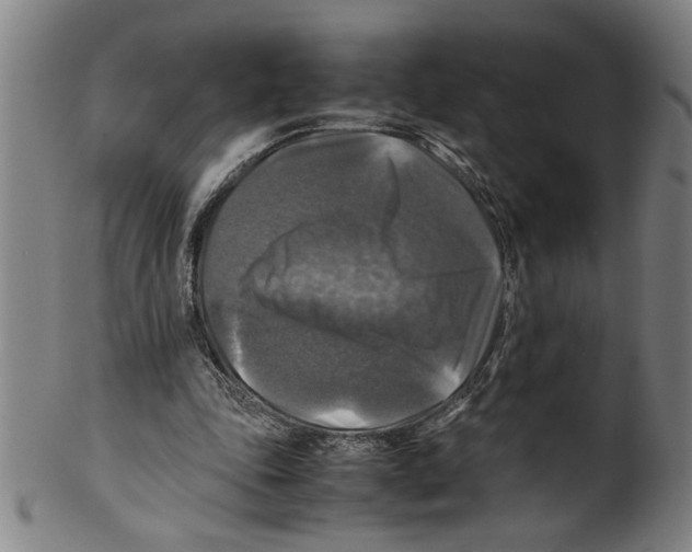 X0000099410343200806060937