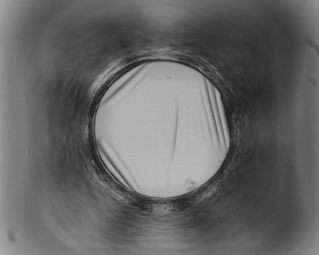 X0000099410344200806060937