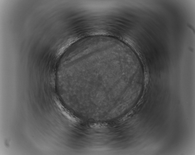 X0000099410345200806060937