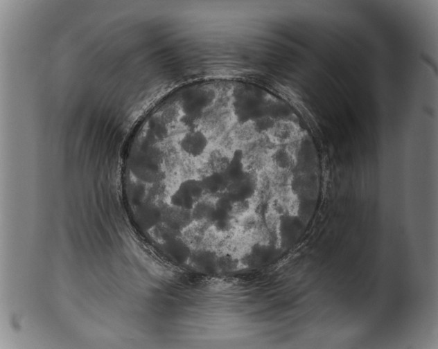 X0000099410346200806060937