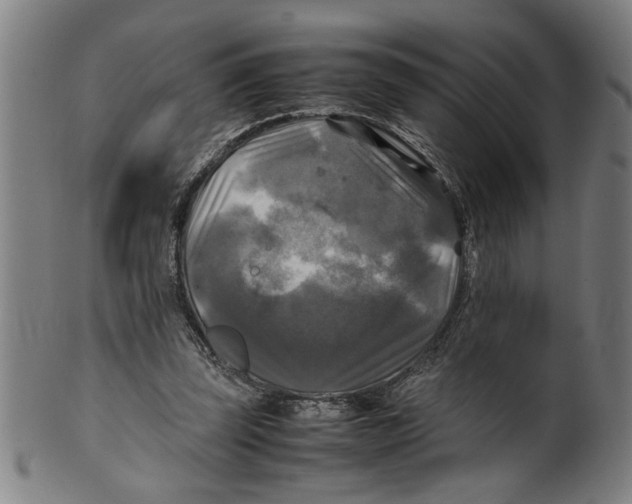 X0000099410347200806060937