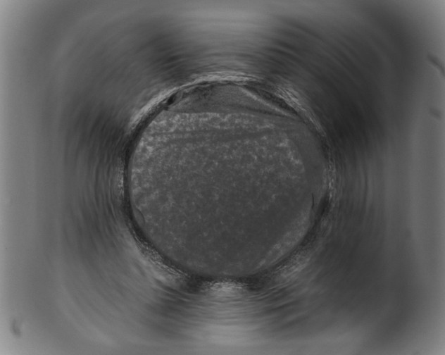 X0000099410348200806060937