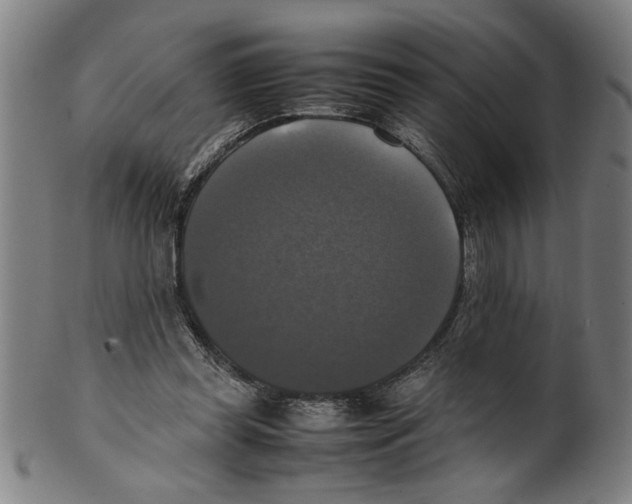 X0000099410349200806060937