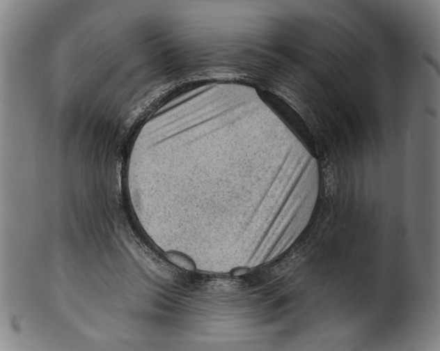 X0000099410350200806060937