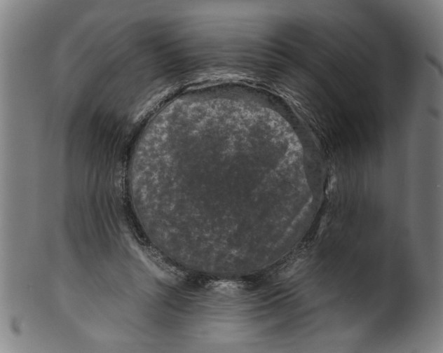 X0000099410352200806060937