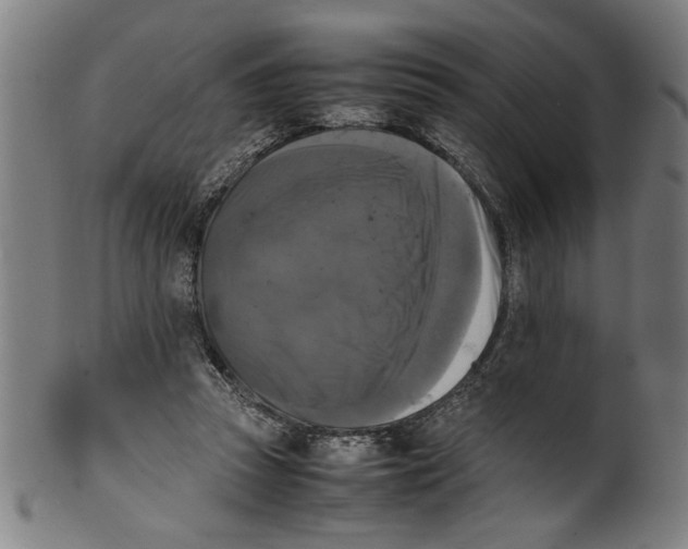 X0000099410353200806060937