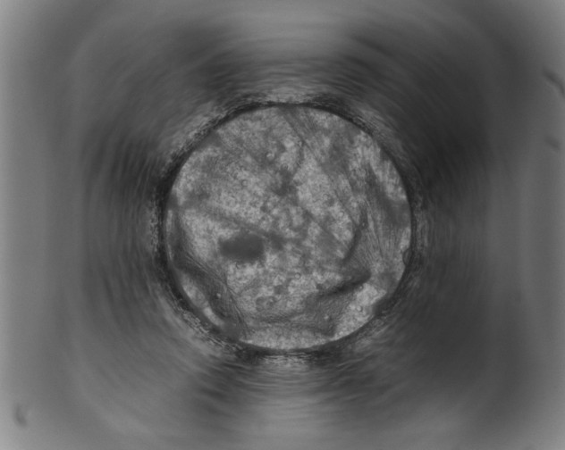 X0000099410354200806060937