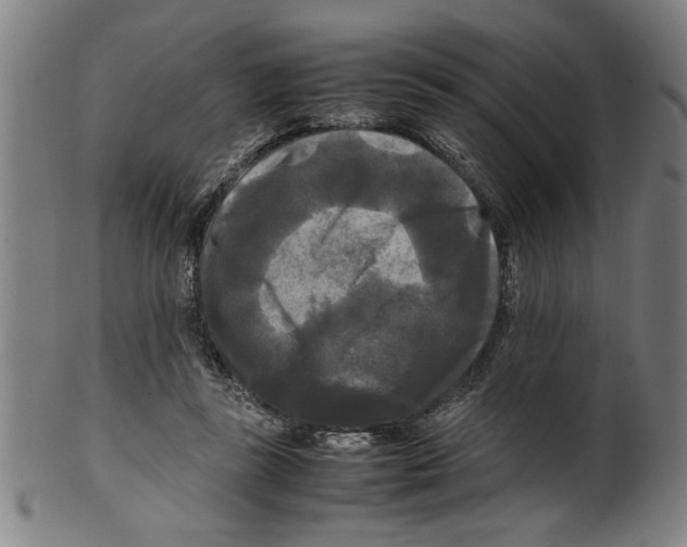 X0000099410355200806060937