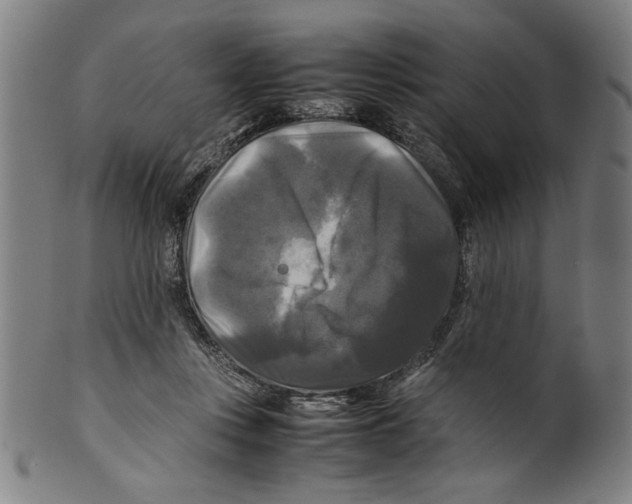 X0000099410359200806060937