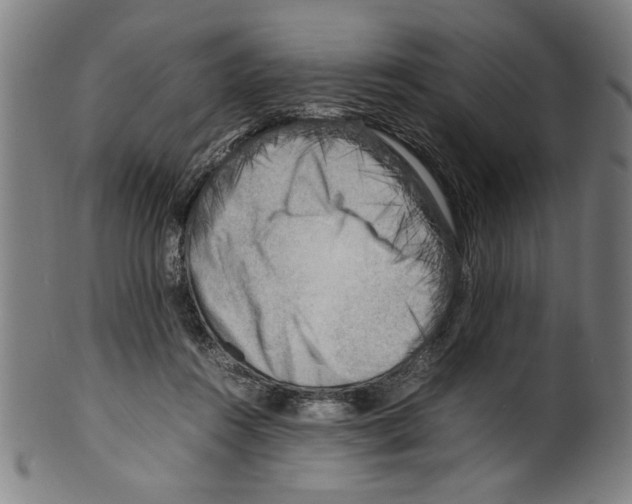 X0000099410360200806060937