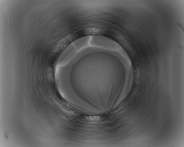 X0000099410361200806060937