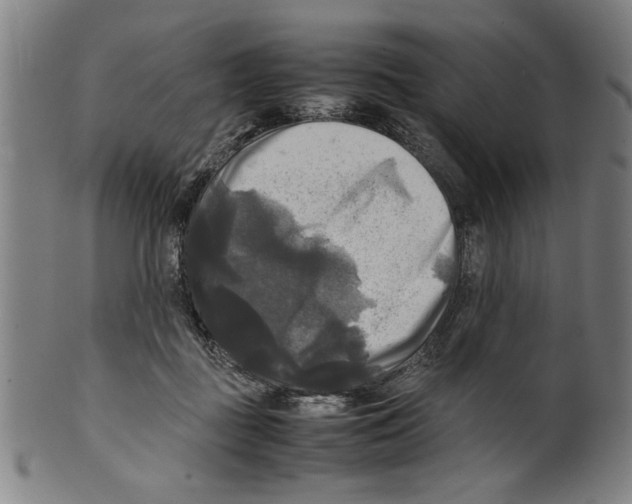 X0000099410363200806060937