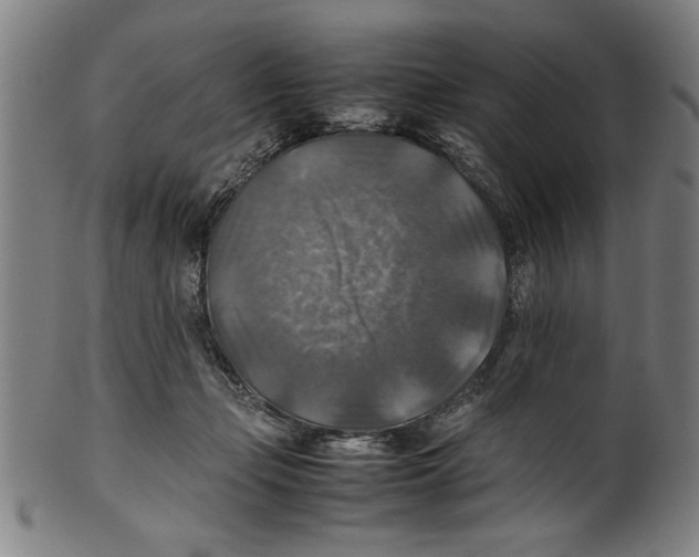 X0000099410365200806060937