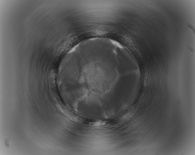 X0000099410366200806060937