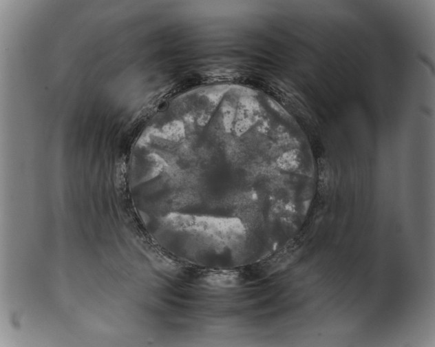 X0000099410369200806060937