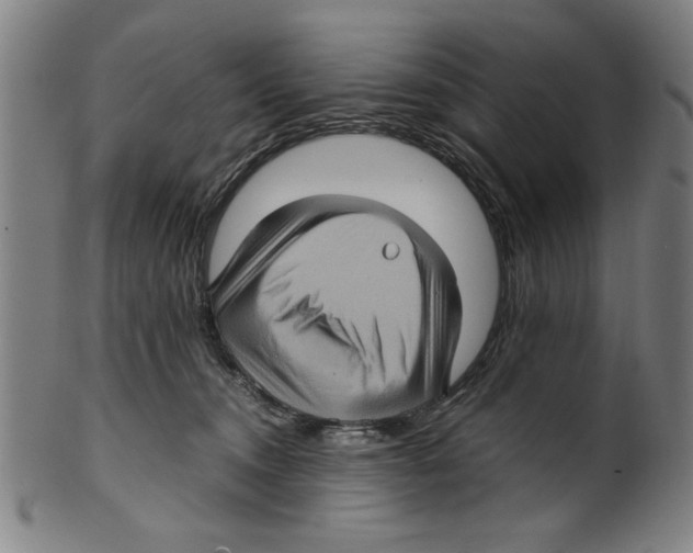 X0000099410372200806060937