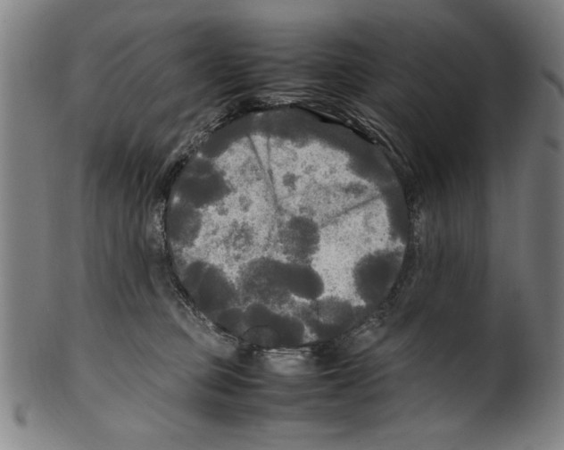 X0000099410373200806060937