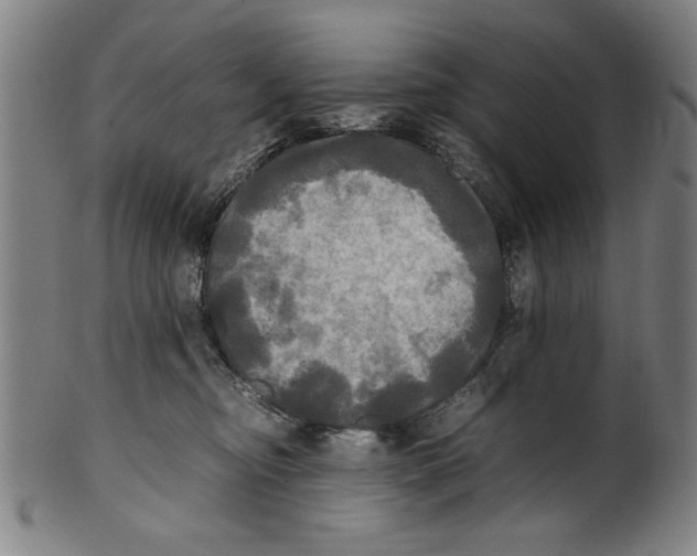 X0000099410374200806060937