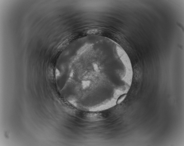 X0000099410375200806060937