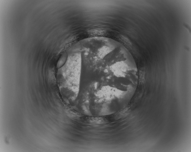 X0000099410377200806060937