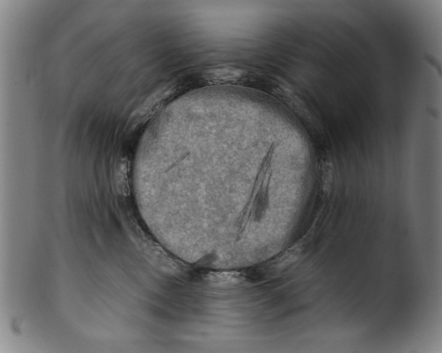 X0000099410378200806060937