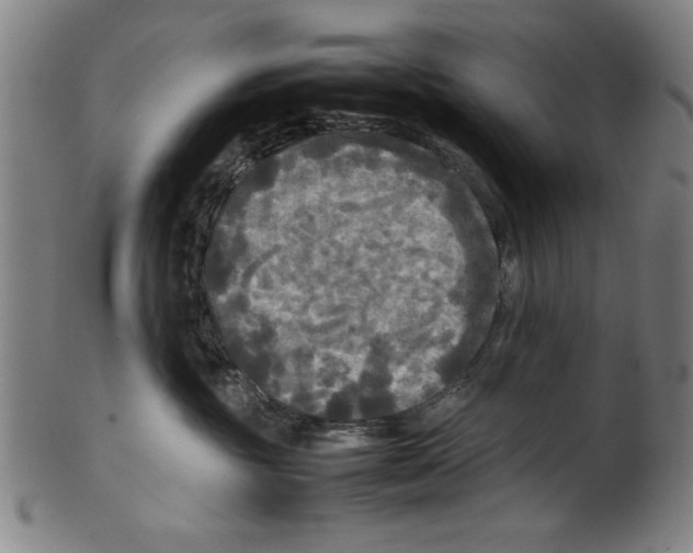 X0000099410381200806060937