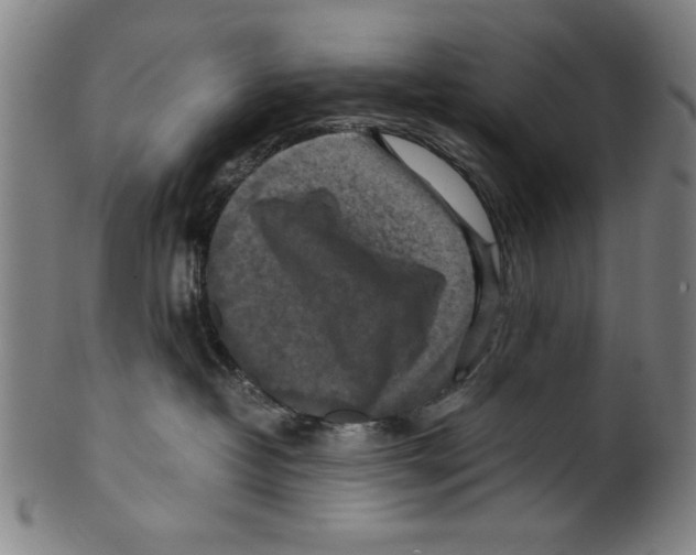 X0000099410382200806060937