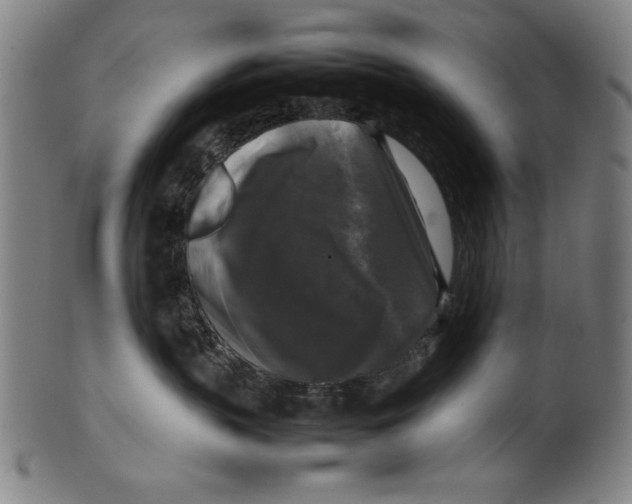 X0000099410383200806060937