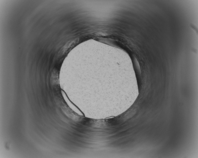 X0000099410384200806060937