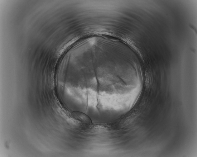 X0000099410390200806060937