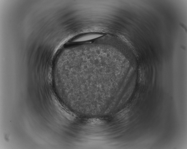 X0000099410392200806060937